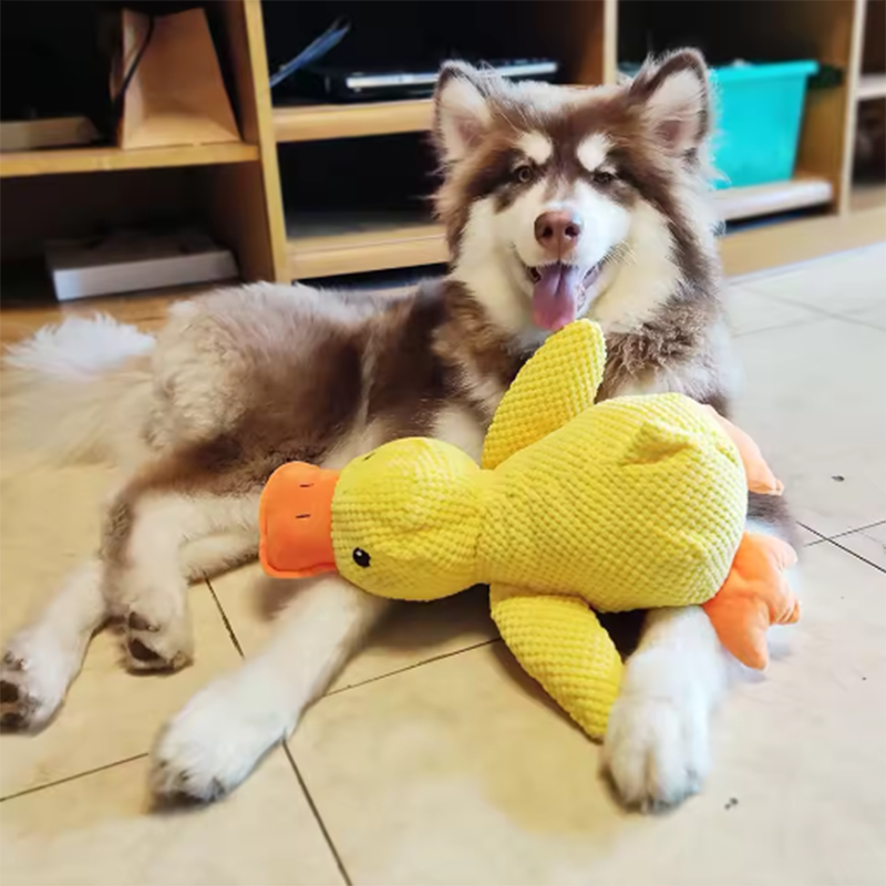 Peluche a Forma D'Anatra